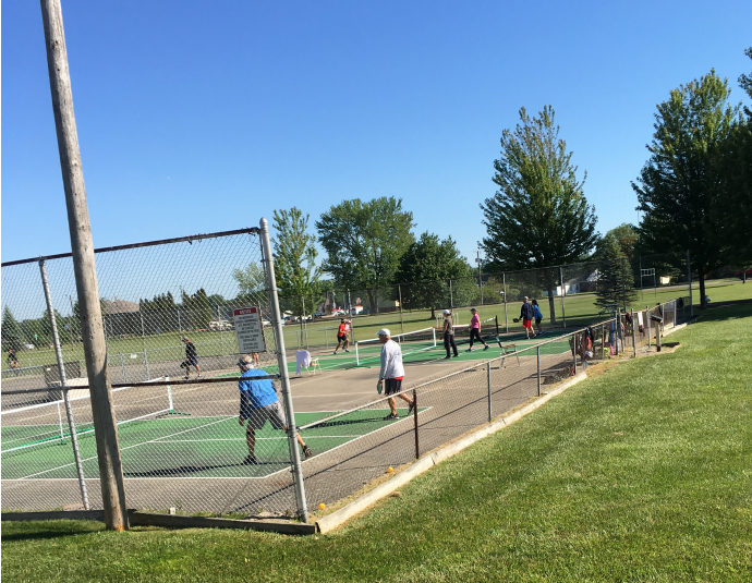 The Browne's Field Pickleball Group in Action